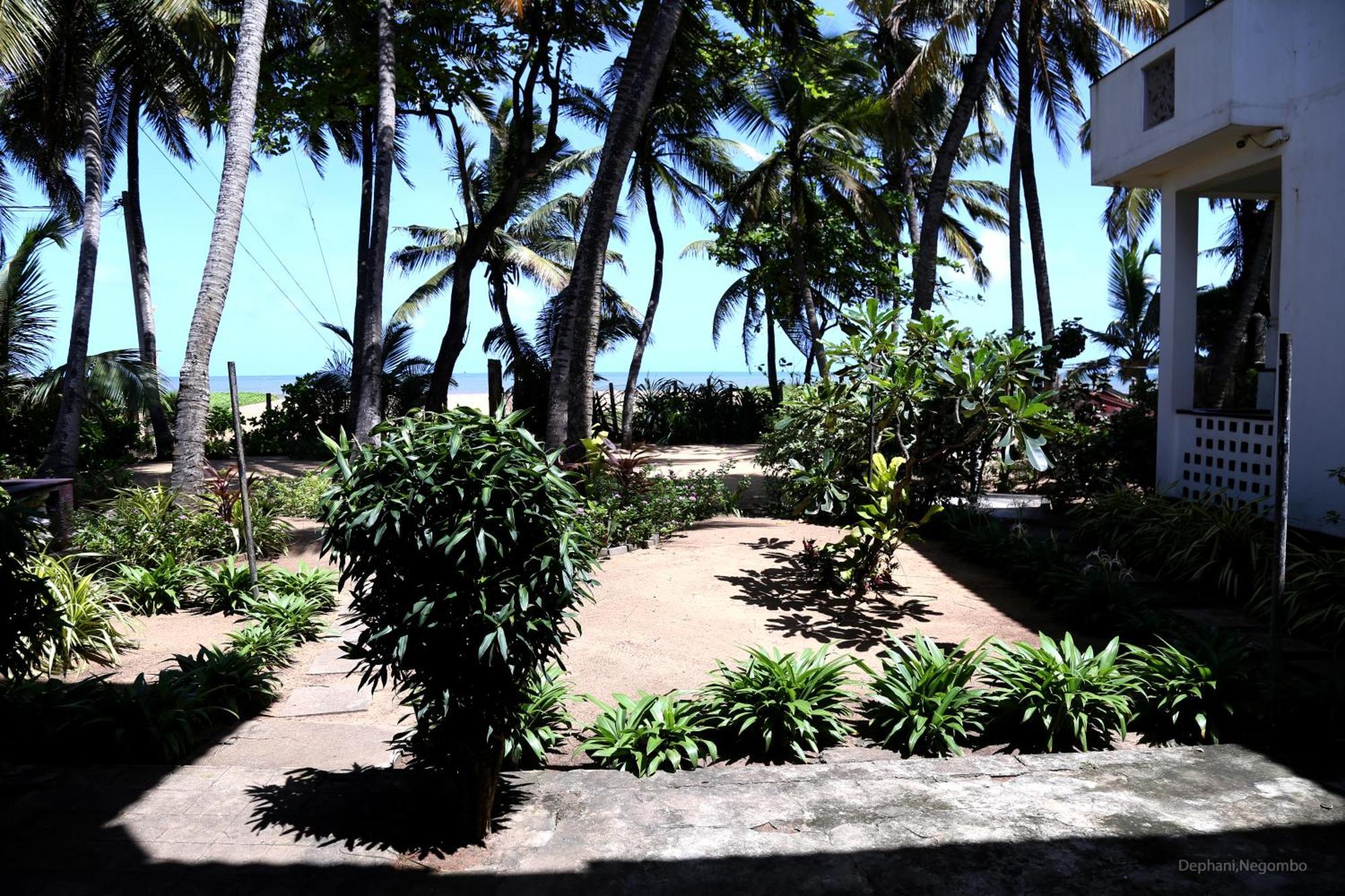 Dephani Beach Hotel Negombo Exterior photo