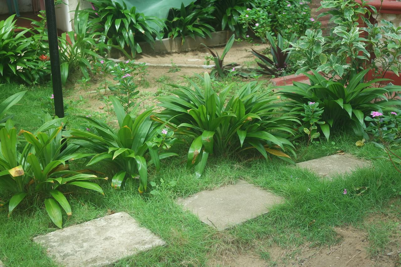 Dephani Beach Hotel Negombo Exterior photo